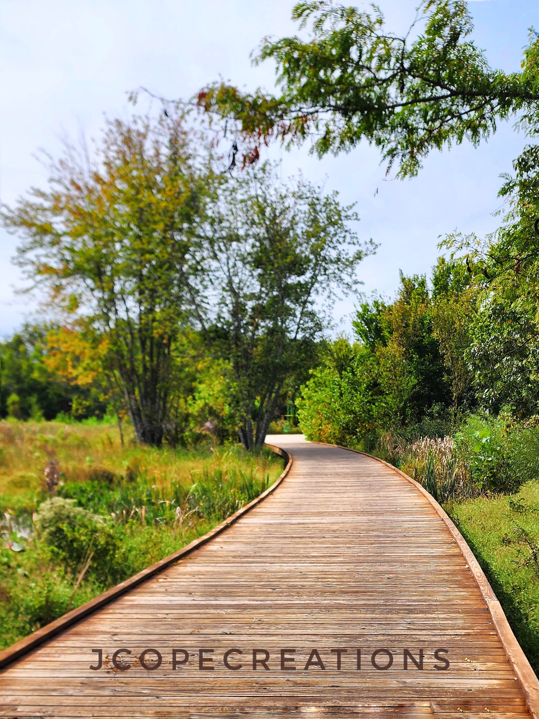 A walking bridge over a lake